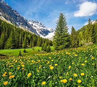 LESI1476 Lenk Simmental Fruehling Iffigtal Foto Patrick Aegerter Lenk Simmental Tourismus LST 14
