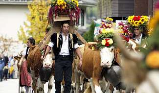 Bild eines Umzuges anlässlich des Älplerfestes Lenk