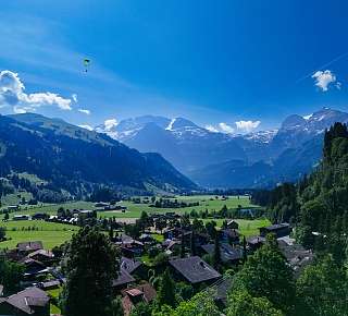 Lenk