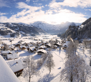 Bild der Panorama-Aussicht vom Hotel Lenkerhof