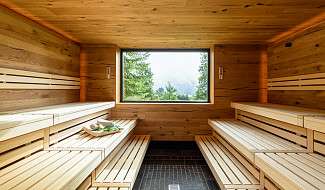 Biosauna