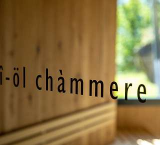 Tuere Steinoel
